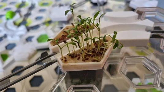 Gravitrax Seed Planter   