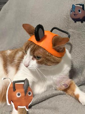 Anime Cat Hat - Pochita Chainsaw Man Hat