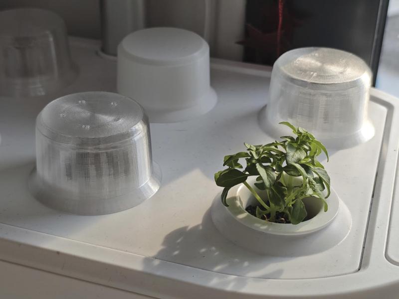 Germination Dome