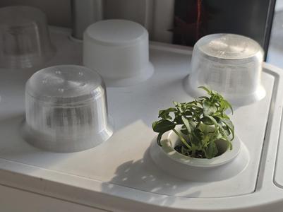 Germination Dome