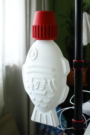 Soy Fish Lamp - vase mode, standing or hanging