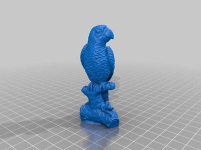 Macaw parrot – 3D Scan