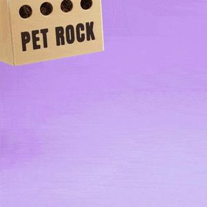 Blob Rocks – Mini Pet Rock Blind Box Collectible Art Toy