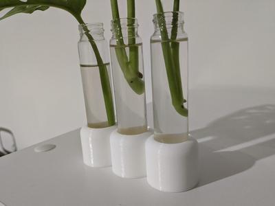 Plant Propagation Test Tubes Holder 22mm x 3