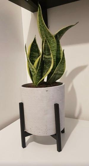 Plant stand
