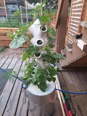 Modular Hydroponic Tower Garden