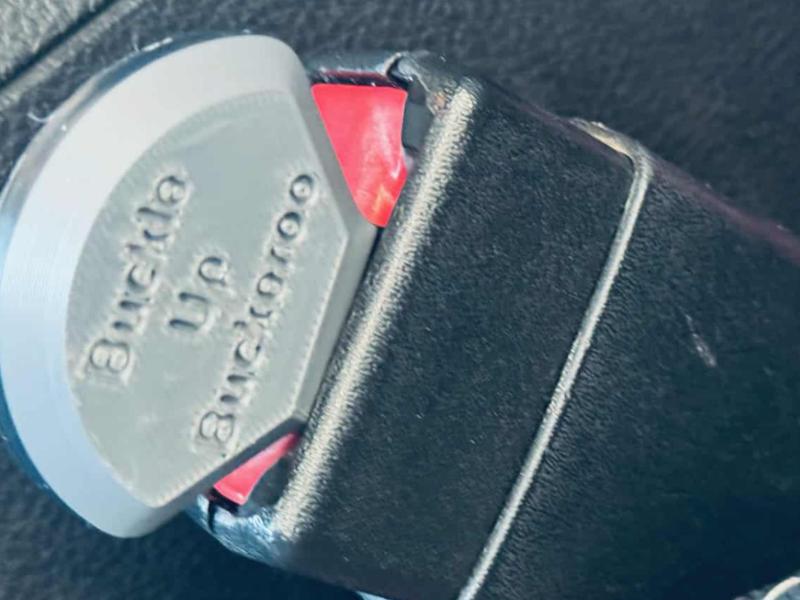 "Buckle Up Buckeroo" Seat Belt Plug/Silencer