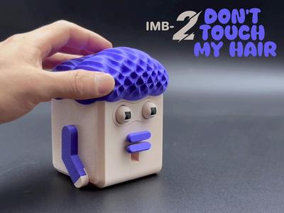 Don't Touch My Hair