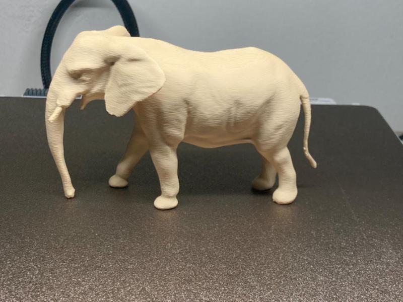 Elephant home design