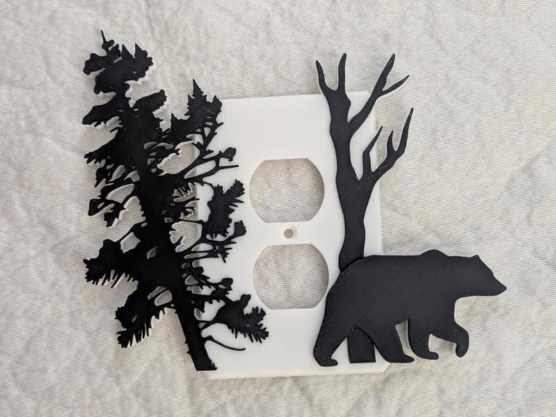 Bear outlet cover