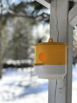 Birdhouse (swallows)