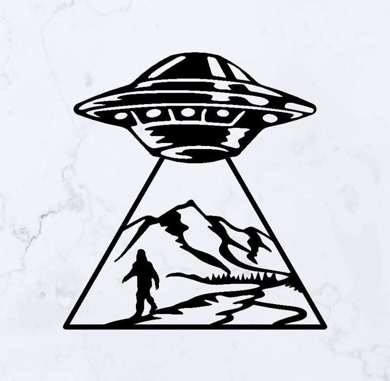 UFO Abduction