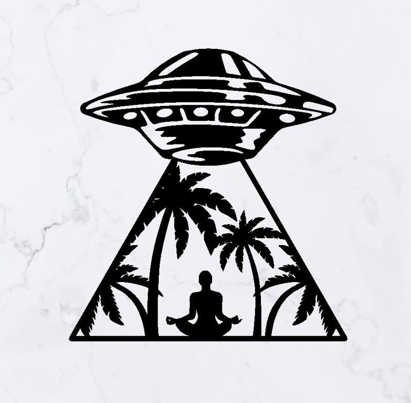 UFO Abduction