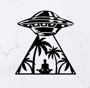 UFO Abduction