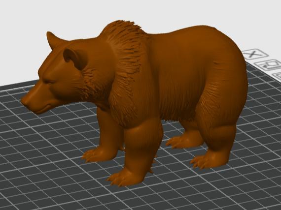 GRIZZLY BEAR