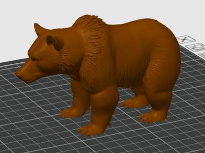 GRIZZLY BEAR