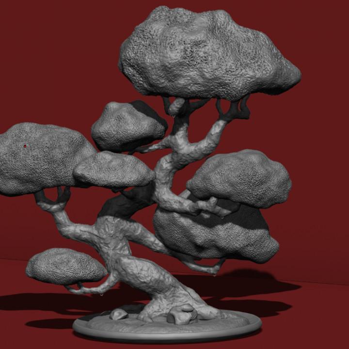 Large Tree
