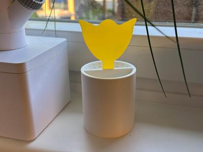 Dual Fruit Fly Trap (Holder for Yellow Stickers)