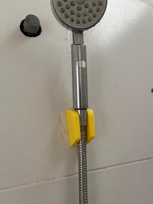 Shower Holder