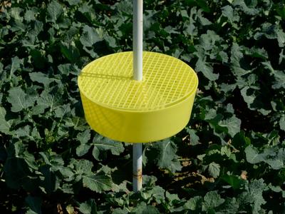 Trap tray for pest control and plant protection