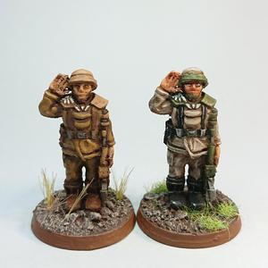 Arcadian Trooper at attention