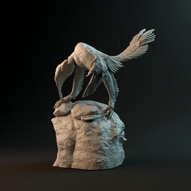 Archaeopteryx cleaning 1-6 scale pre-supported bird-like dinosaur