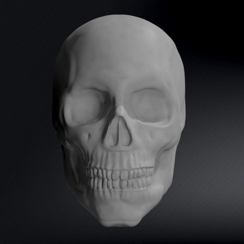 Male Skull Sculpt, Sculpture, Various Versions