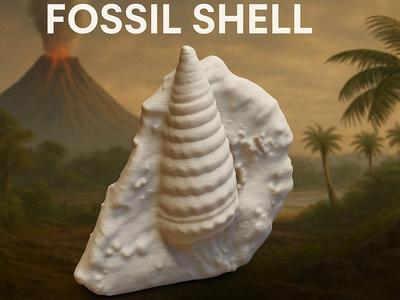 Cerithium subcorvinum Fossil – Gastropod Replica