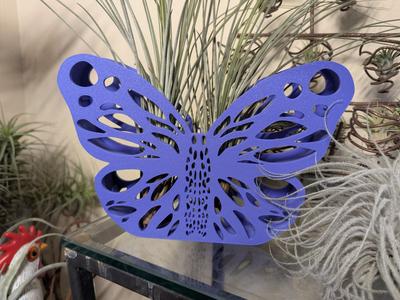 Butterfly Airplant Pot