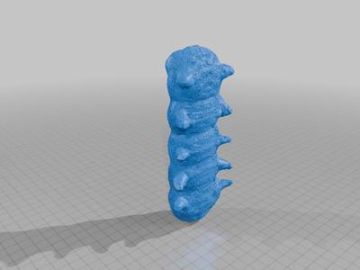 Caterpillar