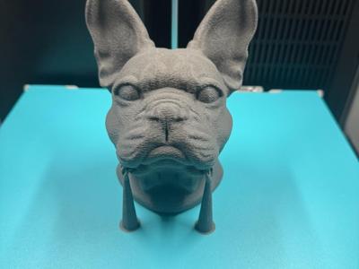 Bulldog Head 