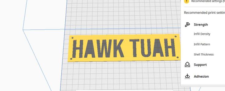 hawk tuah