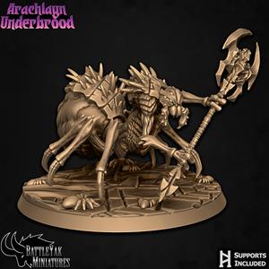 Arachlayn Truebreed B