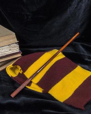 James Potter’s Wand - Harry Potter