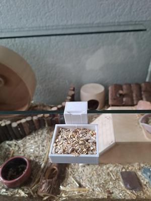 Hamster treat holder