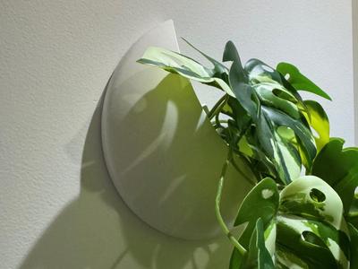 Moon vase wall hanging