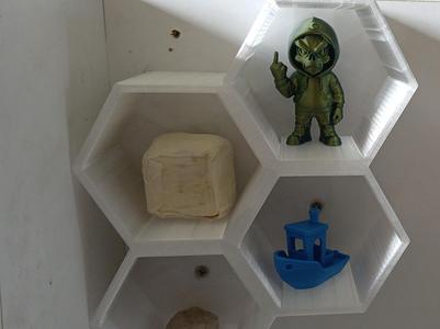 hexagonal modular shelves