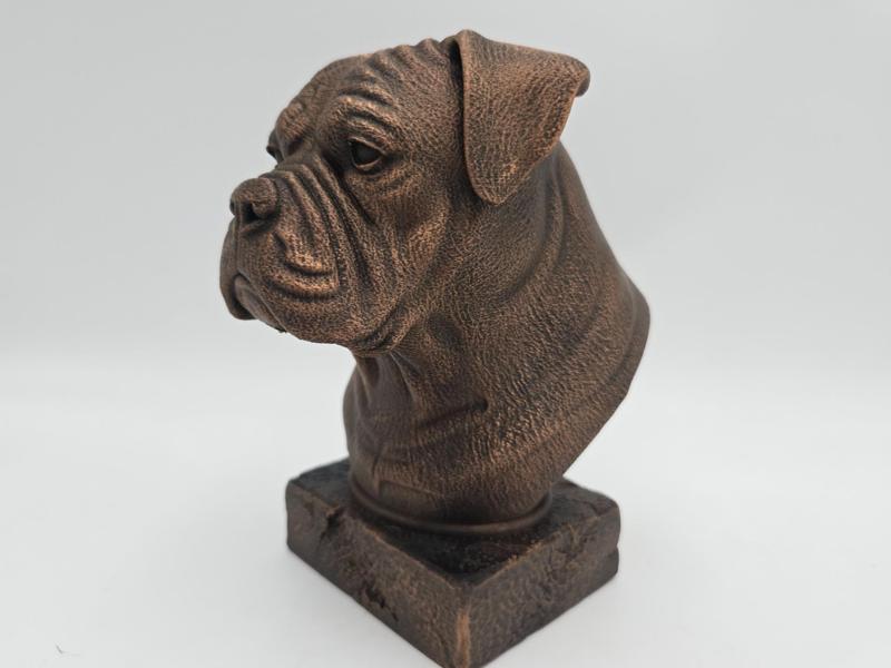 AMERICAN BULLDOG BUST