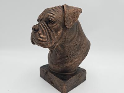 AMERICAN BULLDOG BUST
