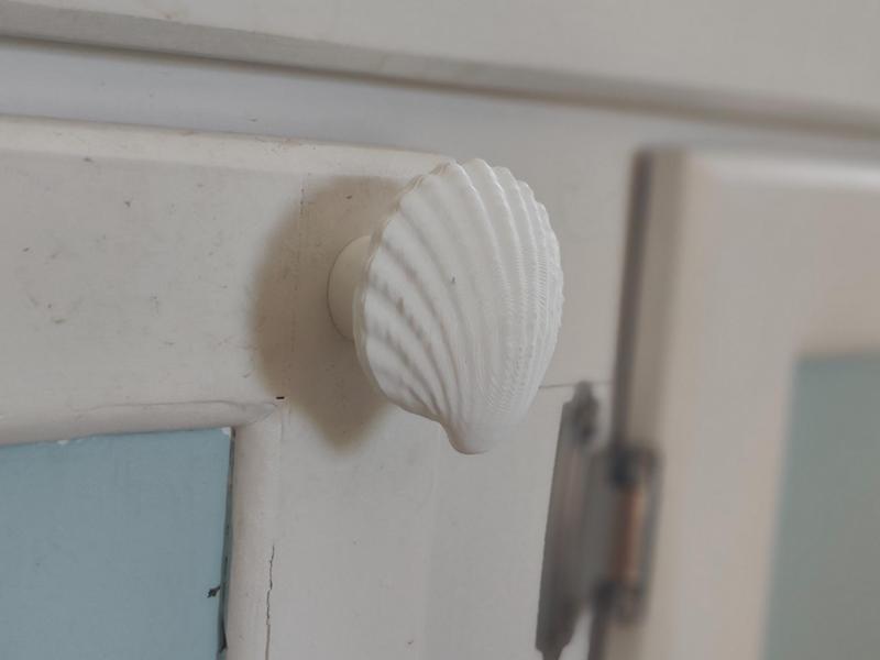 Sea Shell cabinet knob
