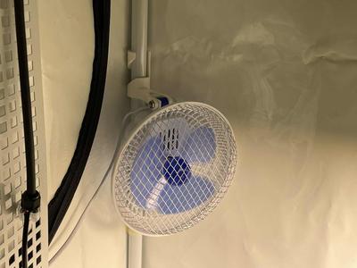 Fan on a pole
