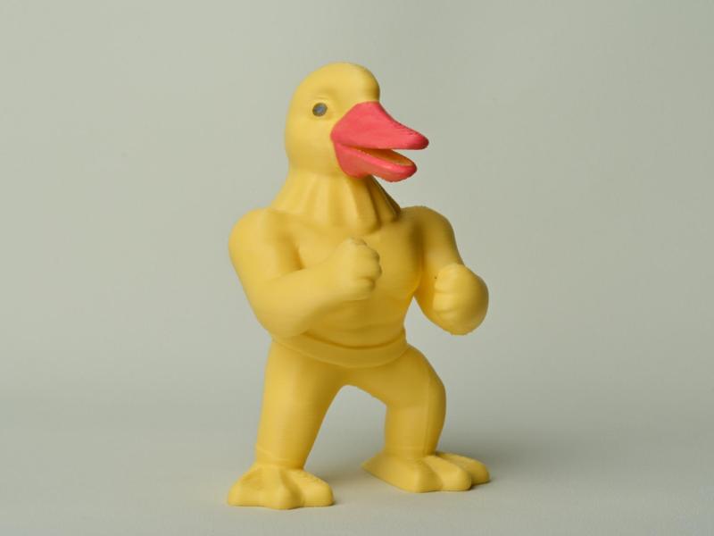 Muscular Duck