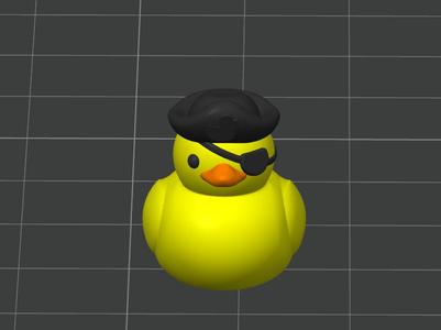 Pirate duck