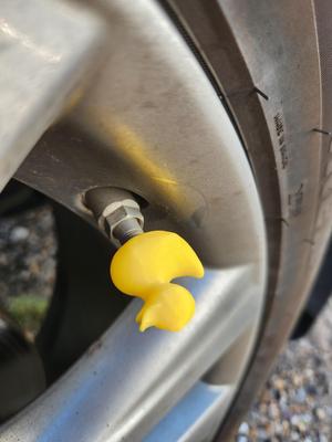 Rubber Duck Valve Cover