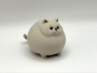 Huge Chonky Kitty