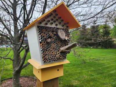 Solitary Bee Hotel