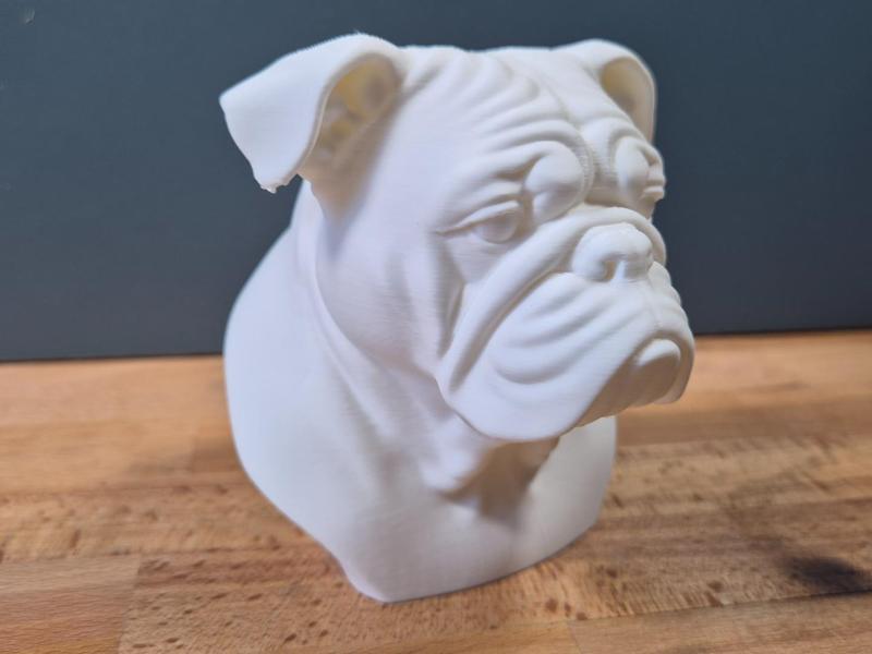 English Bulldog Bust