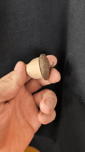Ice Age acorn