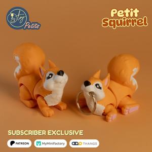 Petit Squirrel