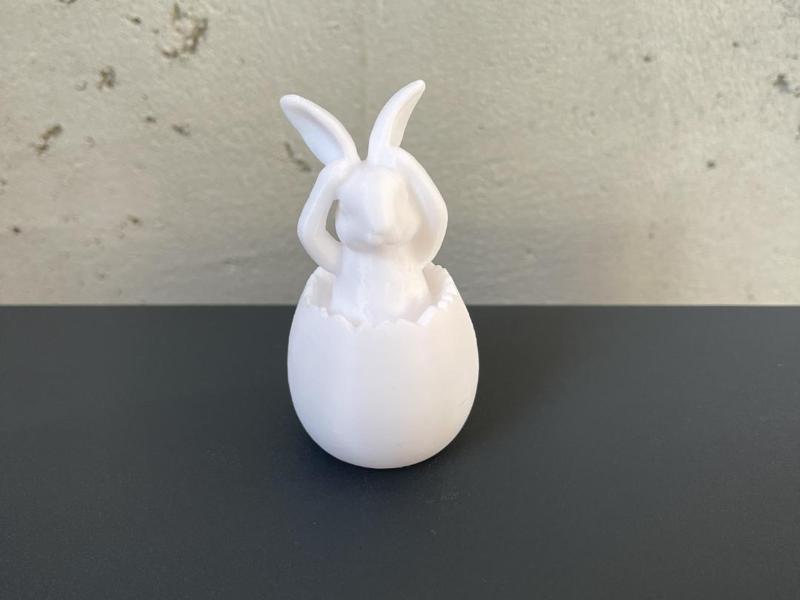 Easter bunny sitting in an egg